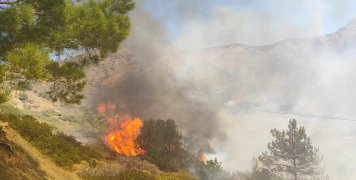 Φωτιά στη Σιδηρούντα - 1/7/24