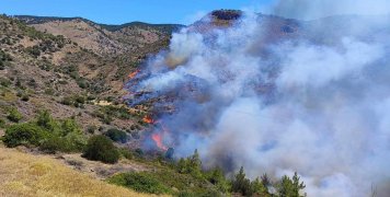 Φωτιά στη Σιδηρούντα - 1/7/24