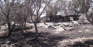 Κάηκε μεγάλο μέρος της Παφυλίδας Κάηκε μεγάλο μέρος της Παφυλίδας