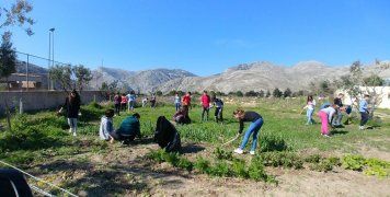 Το Γυμνάσιο Βροντάδου στην Κιβωτό
