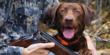 φωτο αρχείου