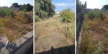 Καλαμιώνας ο… Κοκκαλάς!