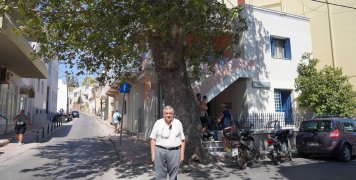 Την επικινδυνότητα κλαδιών του πλατάνου στη συμβολή Μονομάχου & Βορριά επισημαίνει ο Ιάκ. Μπριλής Την επικινδυνότητα κλαδιών του πλατάνου στη συμβολή Μονομάχου & Βορριά επισημαίνει ο Ιάκ. Μπριλής