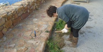 Μπράβο Ρούλα