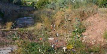 Οι καταπατήσεις που βγάζουν μάτι