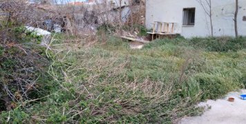 Ιδιοκτησία του Δημοσίου γεμάτη χόρτα, σκουπίδια και... φίδια Ιδιοκτησία του Δημοσίου γεμάτη χόρτα, σκουπίδια και... φίδια