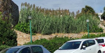 Ένας Καλαμιώνας κρύβει μια ακόμα πλευρά του Κάστρου
