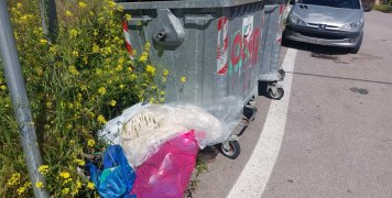 Ρούχα για... ζώα