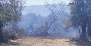 Πυρκαγιά μεταξύ Καλαμωτής - Κώμης