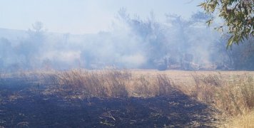 Πυρκαγιά μεταξύ Καλαμωτής - Κώμης