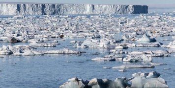 arctic sea ice svalbard