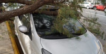 Αλμυρίκι πάνω σε ΙΧ στον παραλιακό του Αεροδρομίου