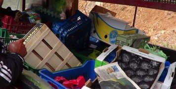 Πήραν μέχρι και τα... λεμόνια