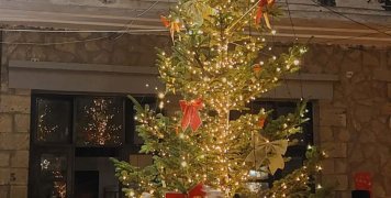 φωτο Δημήτρης Παλαιούδης