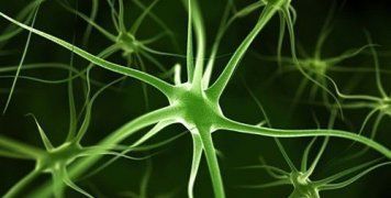  Μπορεί να κάνει διαγνώσεις σοβαρής κατάθλιψης