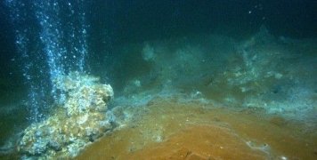 Ερευνητές από την Ιταλία και την Ελλάδα παρατήρησαν τη συγκεκριμένη συμπεριφορά για πρώτη φορά παγκοσμίως 