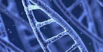 «Φρενάρουν» έως κατά 75% τις μεταστάσεις του καρκίνου 