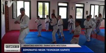 Σότοκαν Καράτε