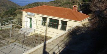 Λεπτόποδα. Το...Σχολείο Λεπτόποδα. Το...Σχολείο