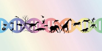 Ο ρόλος της τύχης στην εξέλιξη του ανθρώπινου είδους