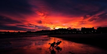 χειμερινό ηλιοστάσιο