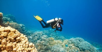 δύτης, βυθός