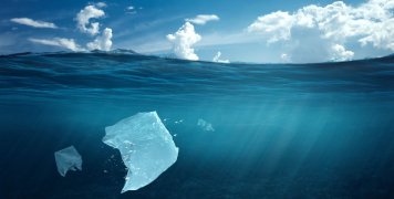 πλαστικές σακούλες, θάλασσα