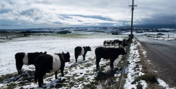 tasmania-xioni-agelades