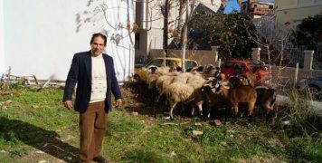 Καλή χρονιά με διαδήλωση... προβάτων