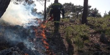 Καύση δειγματοληπτικής επιφάνειας