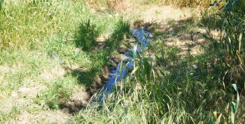 Τα λύματα από τη δομή της π. ΒΙΑΛ τρέχουν στα διπλανά χωράφια