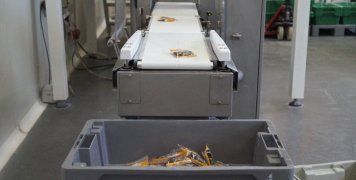 Η ολοκάθαρη και ποιοτικά ελεγμένη μαστίχα συσκευάζεται σε κούκουδα