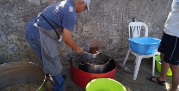 Γιορτή σούμας στα Μεστά