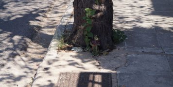 Το... καντηλάκι μιας φίλης Το... καντηλάκι μιας φίλης