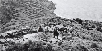 Φωτογραφία βγαλμένη από την περιοχή Ρουχά Λεπτοπόδων βγαλμένη την ίδια περίοδο, με κάθε πιθαμή γης σπαρμένη. Με την ευγενή παραχώρηση του Μουσείου Μπενάκη