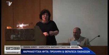 Ιωάννα Χήνου Ιωάννα Χήνου