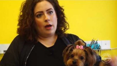 Project Happiness: Η σωστή περιποίηση των σκυλιών από τη Λένια Σταμούλη Project Happiness: Η σωστή περιποίηση των σκυλιών από τη Λένια Σταμούλη