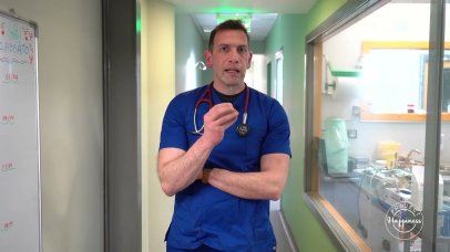 Project Happiness: Οι φυλές σκύλων, Μαλτέζ και γαλλικά Μπουλντόγκ από τον Μάνο Βουγαζιανό Project Happiness: Οι φυλές σκύλων, Μαλτέζ και γαλλικά Μπουλντόγκ από τον Μάνο Βουγαζιανό