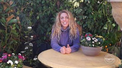 Project Happiness: Κηπευτικές εργασίες Μαρτίου από τη Μαρία Τσιαδή Project Happiness: Κηπευτικές εργασίες Μαρτίου από τη Μαρία Τσιαδή