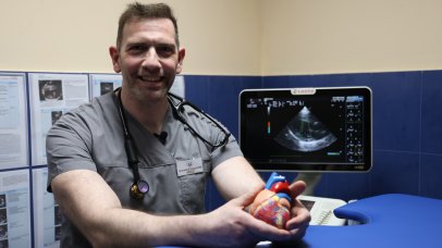 Project Happiness: Η καρδιοπάθεια στο σκύλο από τον Μάνο Βουγαζιανό Project Happiness: Η καρδιοπάθεια στο σκύλο από τον Μάνο Βουγαζιανό